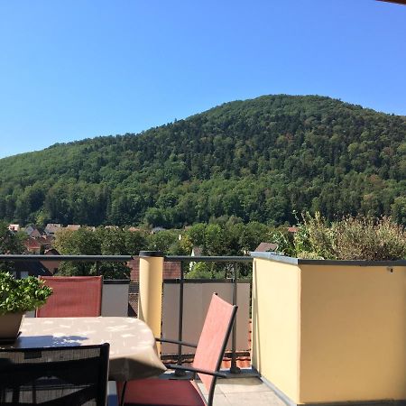 Appartement Le Panorama à Kaysersberg-Vignoble Extérieur photo