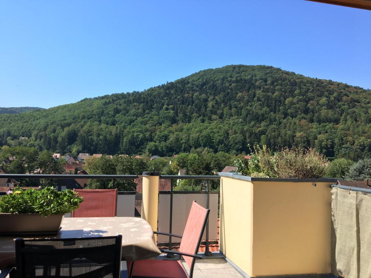 Appartement Le Panorama à Kaysersberg-Vignoble Extérieur photo